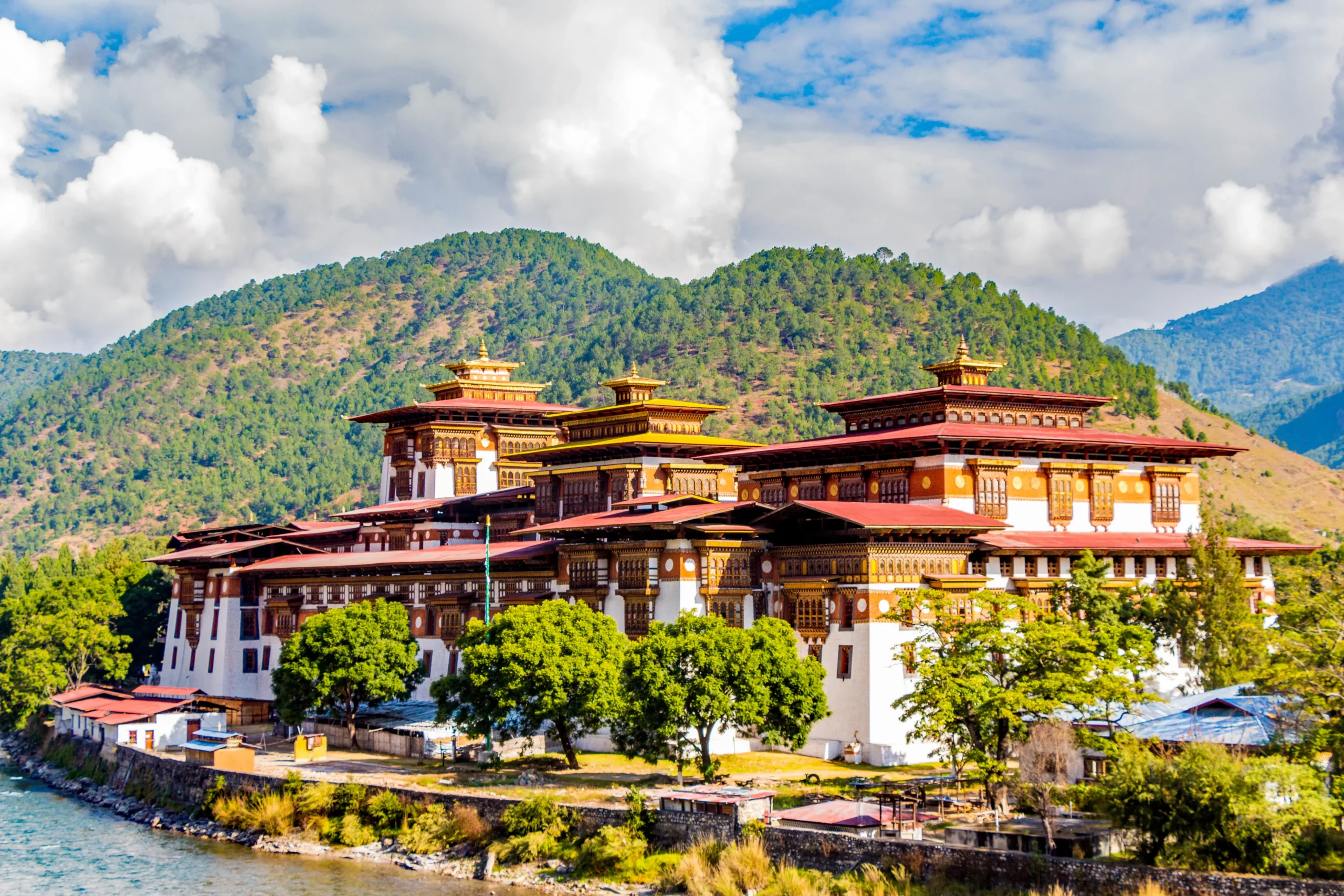 Capture the Charm of Punakha Dzong