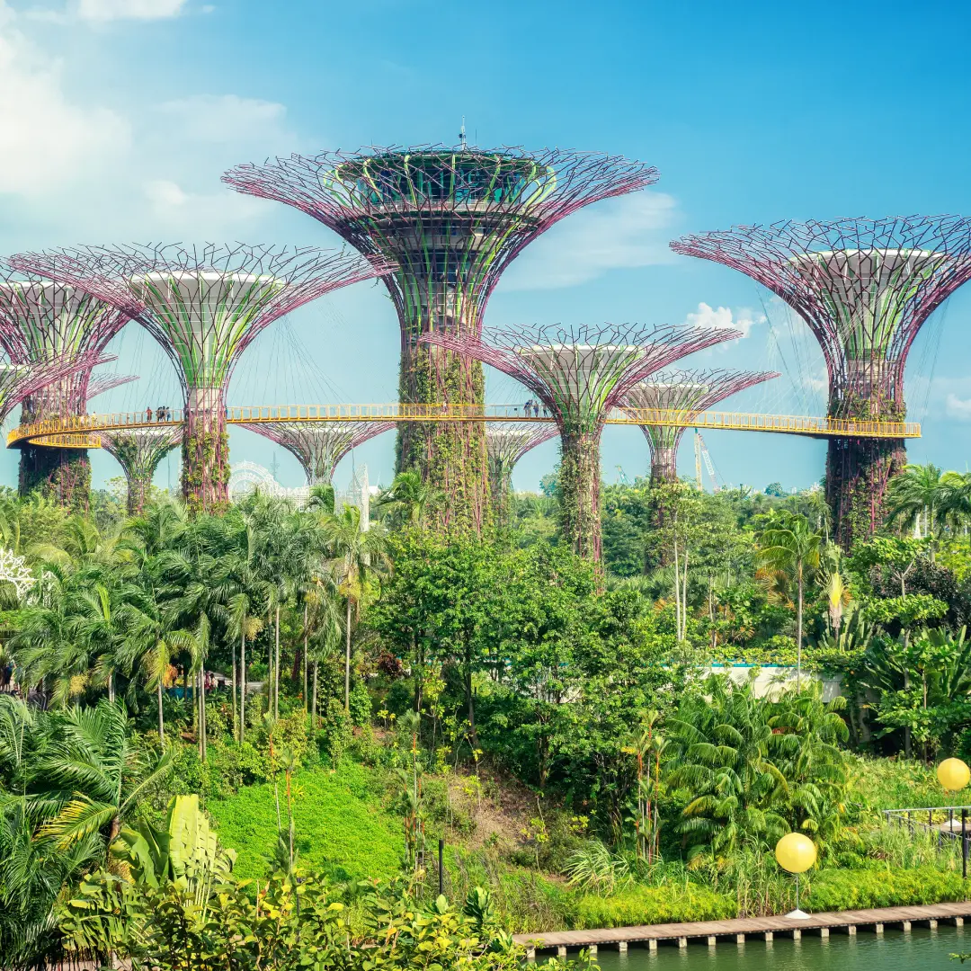 Why Choose Singapore and Malasiya